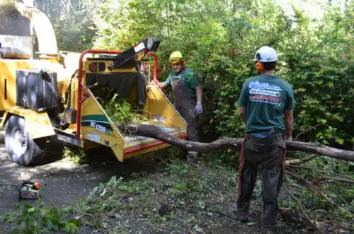 tree services Allerton